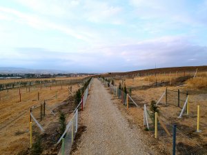 Ürün Yetiştirip Stres Atmak İçin Hafta Sonu Bahçem Kooperatifi Sizi Bekl