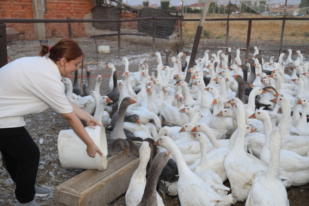 BİZİM KÖY SEPETİ 4