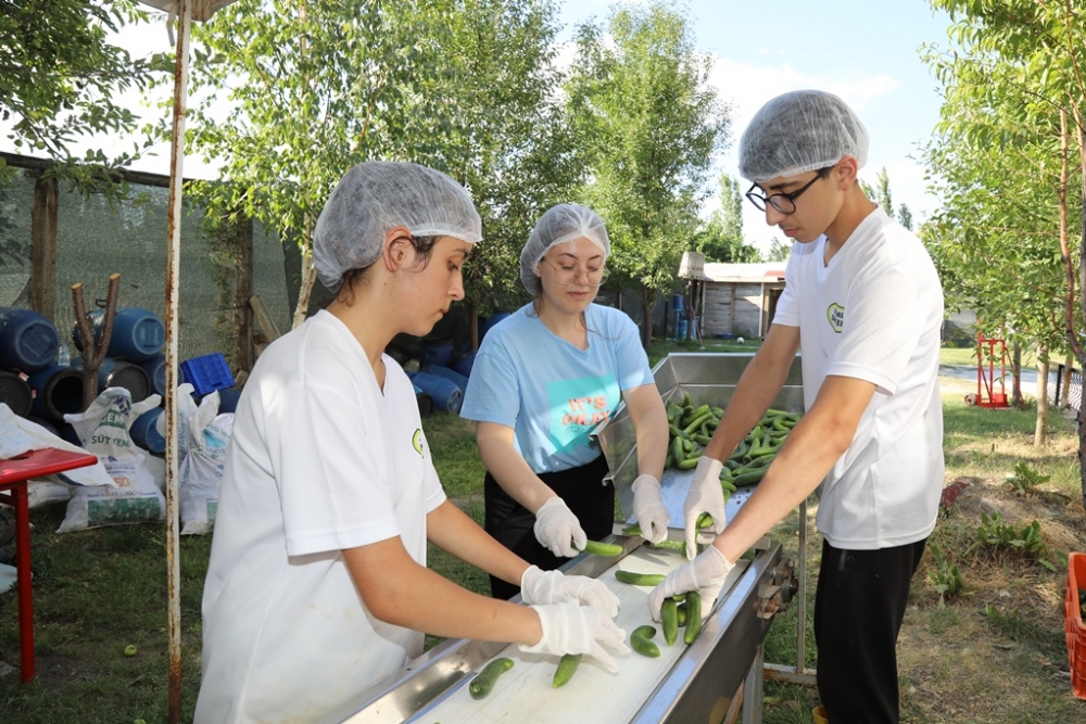 BİZİM KÖY SEPETİ 5