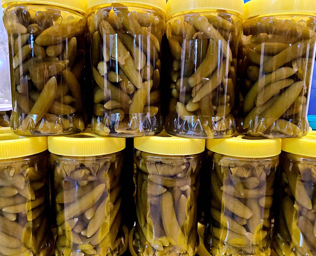 Turşu hem lezzetli hem sağlıklı 1