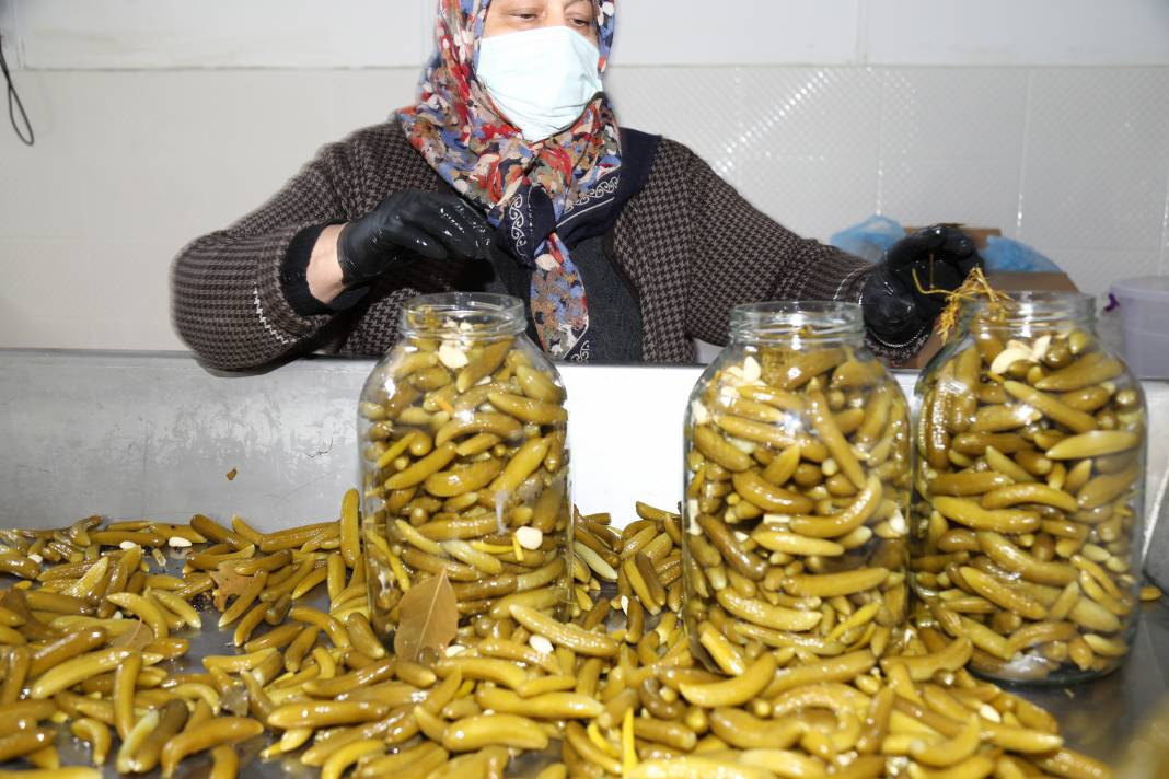 Turşu hem lezzetli hem sağlıklı 12