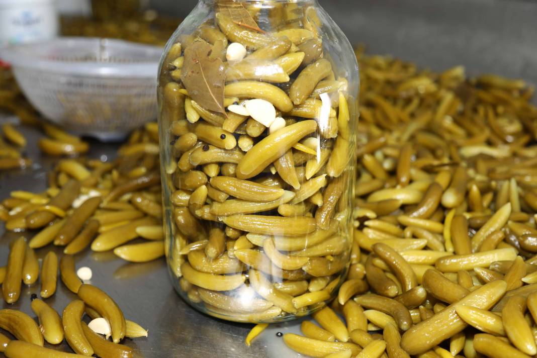 Turşu hem lezzetli hem sağlıklı 8