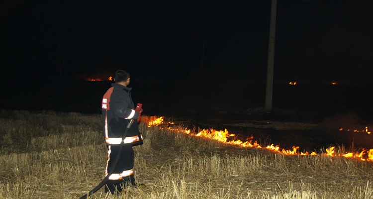 Çubuk'ta tarım arazisi yangını