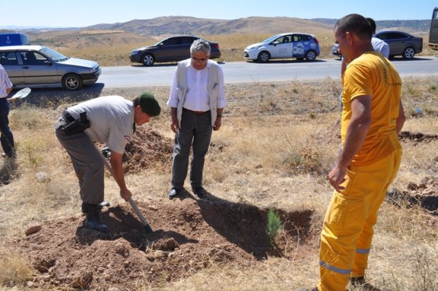 Şehit Kara Pilot Üsteğmen Yakup Çınar adına Hatıra Ormanı kuruldu.
