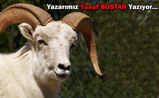 SEN HİÇ RAHMET PEYGAMBERİ İÇİN KURBAN KESTİN Mİ ?