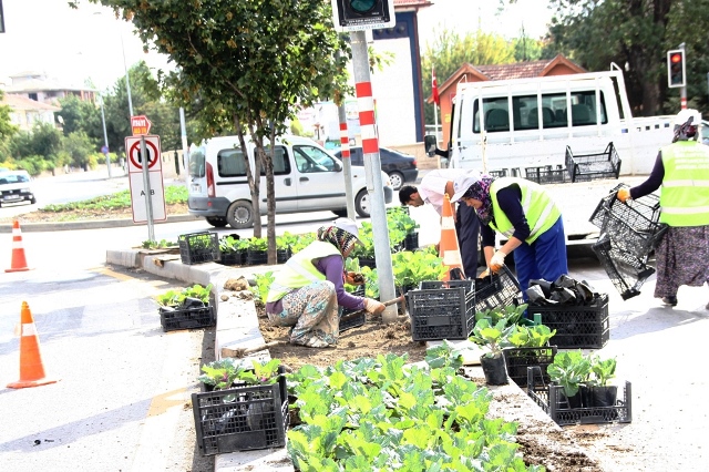 Çubuk Belediyesi Park ve Bahçeler Müdürlüğü Kışa Hazır