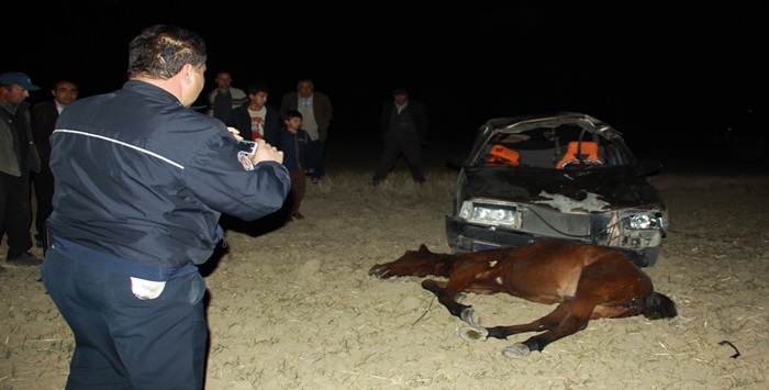 Çubuk’ta otomobil ata çarptı: 6 yaralı