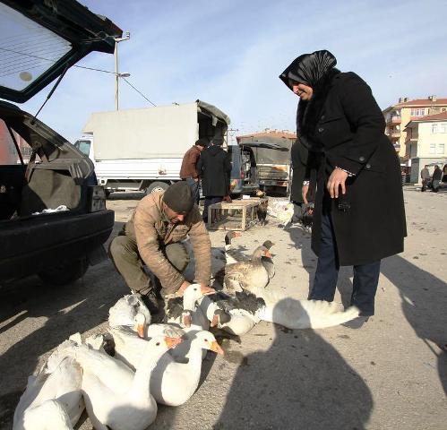 Çubuk'ta Hindi ve Kaz Satışları Arttı
