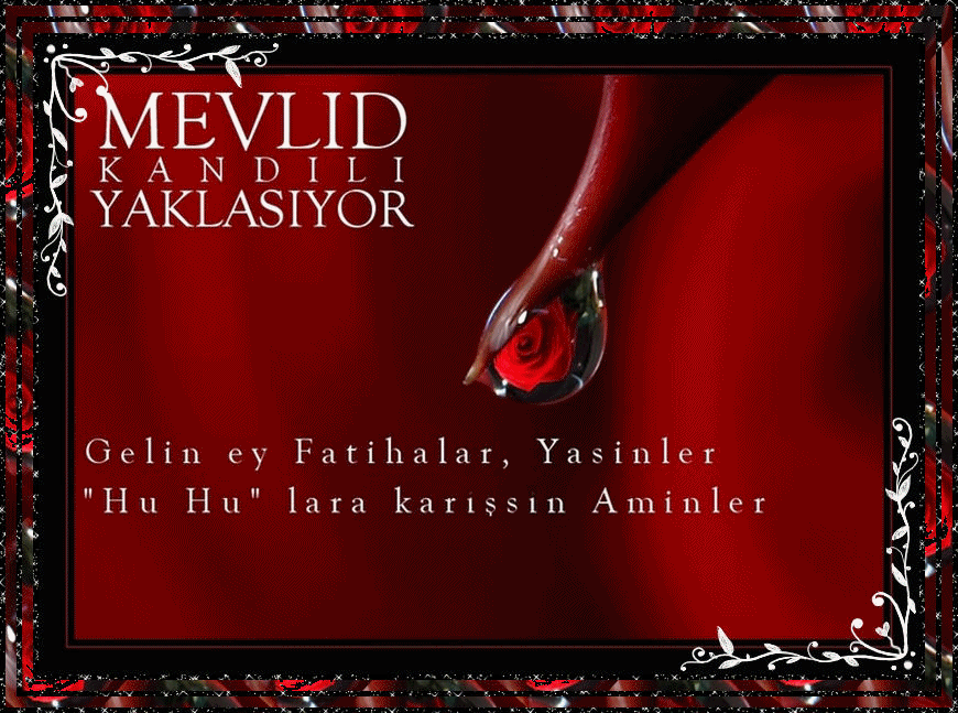 VELÂDET (MEVLİD) KANDİLİ
