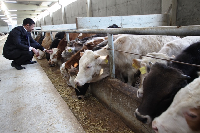 Teknoloji, "besiciliği" kolaylaştırıp verimi artırdı