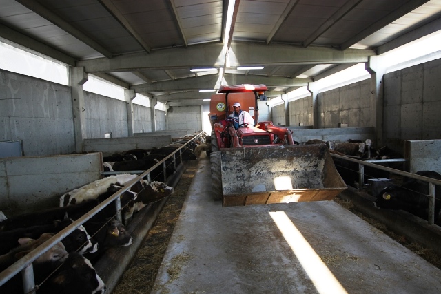 FİNANSBANK KURBAN BAYRAMINDA ÇİFTÇİLERE KAPILARINI AÇACAK