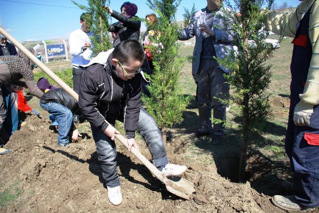 Çubuk’ta 3 bin ücretsiz çam fidanı dağıtıldı