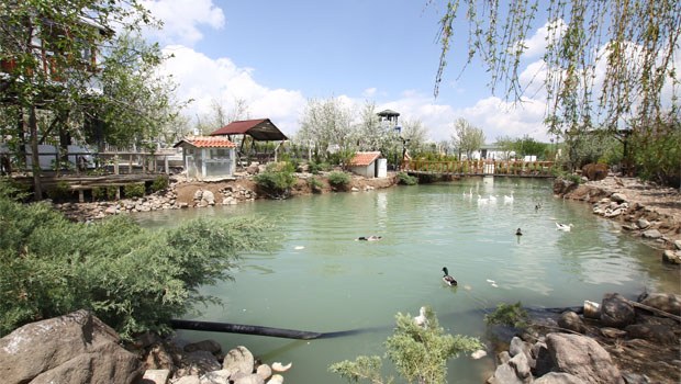 Gurbetçi, boş tarlayı 15 senede tabiat parkına dönüştürdü