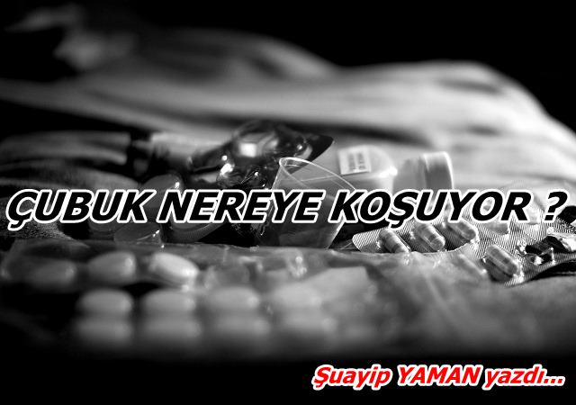 ÇUBUK NEREYE KOŞUYOR ?