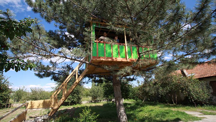 Ağacın dallarına10 kişilik çardak yaptı