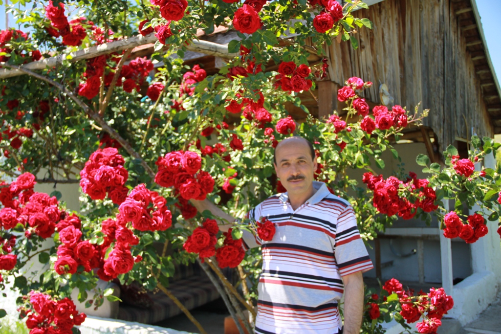 Yağışlar turşu üreticisini vurdu