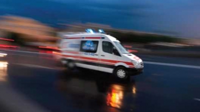 Otomobil Refüjdeki Ağaca Çarptı: 1 Yaralı