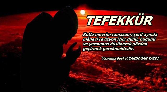 TEFEKKÜR