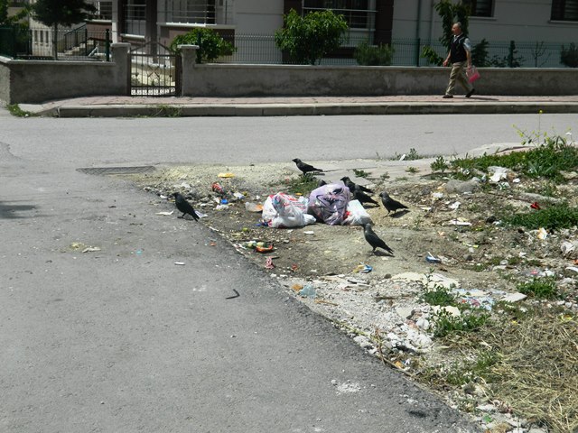 Temiz olan dünyamız, duyarsız insanlar tarafından kirletiliyor