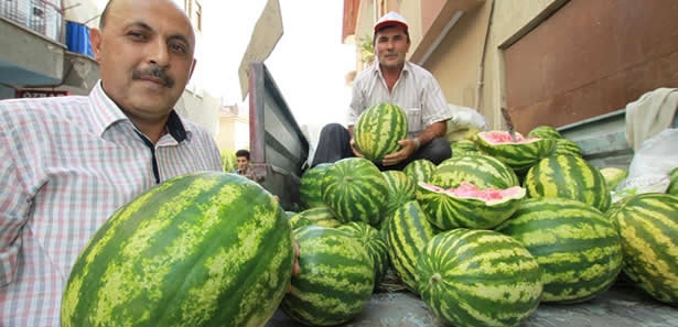 Ora Bura Şura Değil! Has Ankara Karpuzu Bunlar!