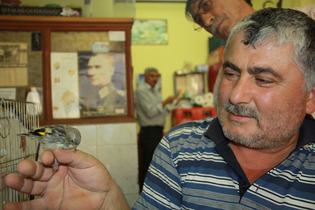 Annesiz kalan yavru kuşlara esnaf sahip çıktı
