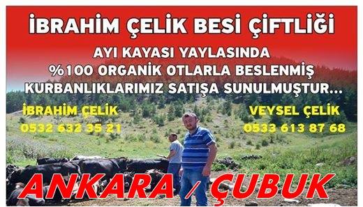 Kurban almayan Kalmasın