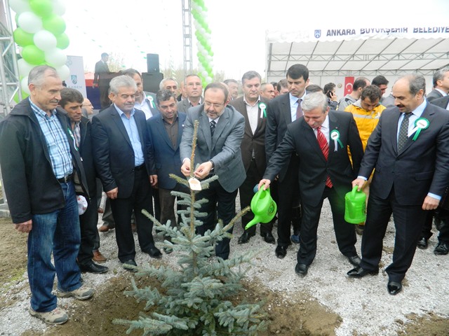 “'KAGEM ORMANLARI HATIRA ORMANI” ÇUBUK’TA...