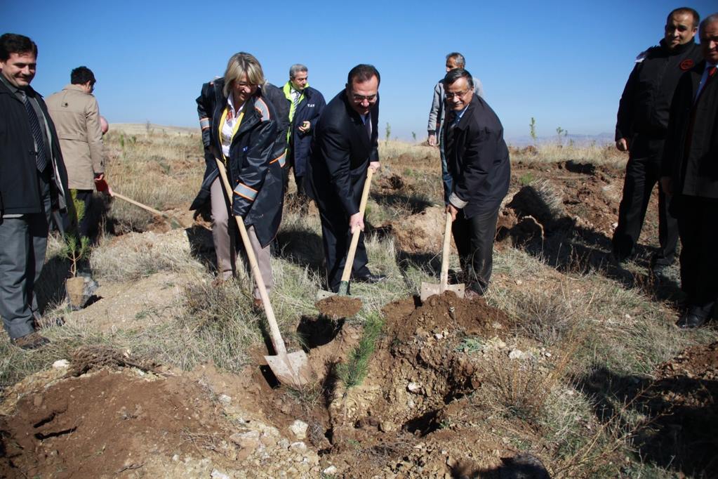 TAV ÇUBUK’TAKİ HATIRA ORMANINA 10 BİN AĞAÇ DİKTİ