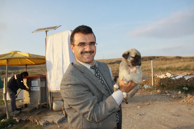 Karnınızı Doyururken Sokak Hayvanlarını da Unutmayın!‏