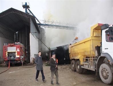 Yumurta Üretim Tesisindeki Yangın Korkuttu