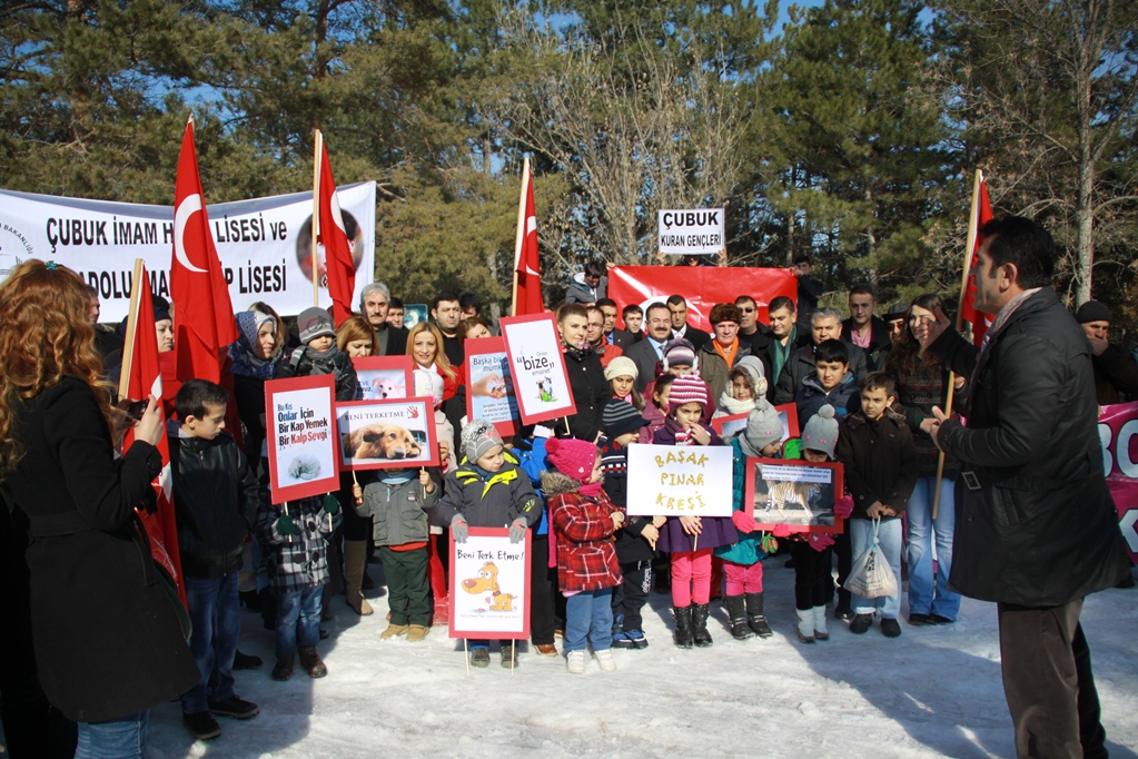 Çubuklular Tek Yürek, Yabana Can Verdi