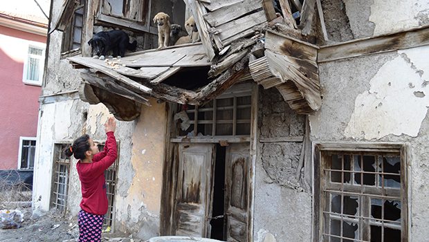 Yavrulara küçük Azra sahip çıktı