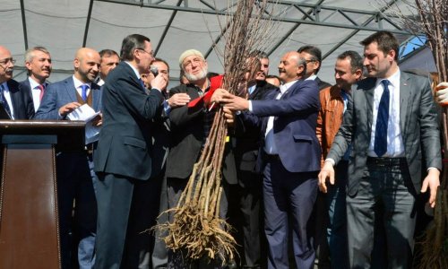 ÇUBUKLU ÇİFTÇİLERE MEYVE FİDANI DAĞITIMI GERÇEKLEŞTİRİLDİ