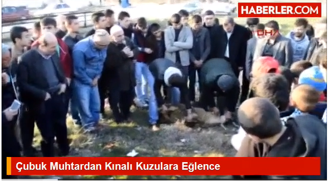 Çubuklu Muhtardan Kınalı Kuzulara Eğlence