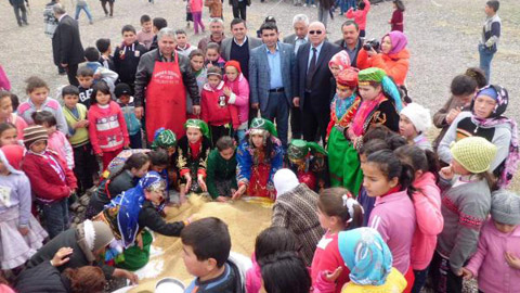 Çubuk'ta Çiğdem aşı etkinliği