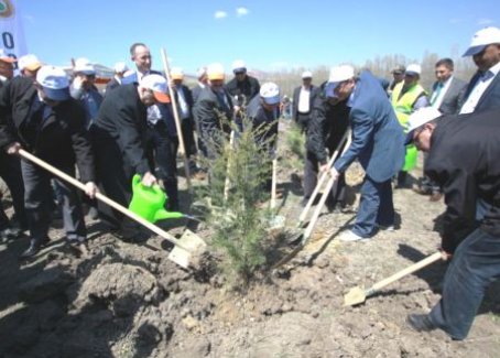 Çubuk'ta kampüse fidan dikildi
