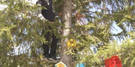 Öğrenciler Kuşlar İçin Yuva Yaptı