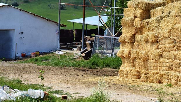 Kaçak işçiler yakalandı