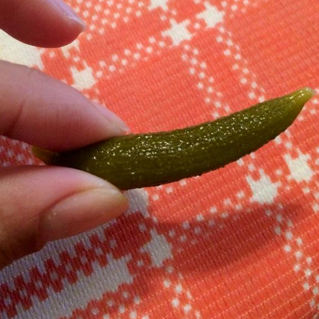 İlk Defa Turşu Yiyen Bebekler