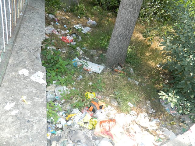 PANCAR ŞEFLİĞİ’ DE ÇÖPLÜK OLDU...