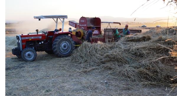 Çubuk'ta hasat dönemi başladı