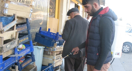 Çubuk'ta Haşereyle Mücadele Hızla Devam Ediyor