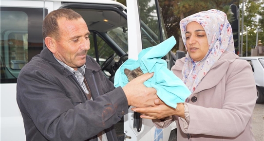 Kamyonetin çarptığı kediye vatandaşlar sahip çıktı