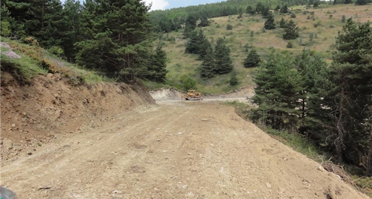 Çubuk'ta 130 bin fidan dikildi