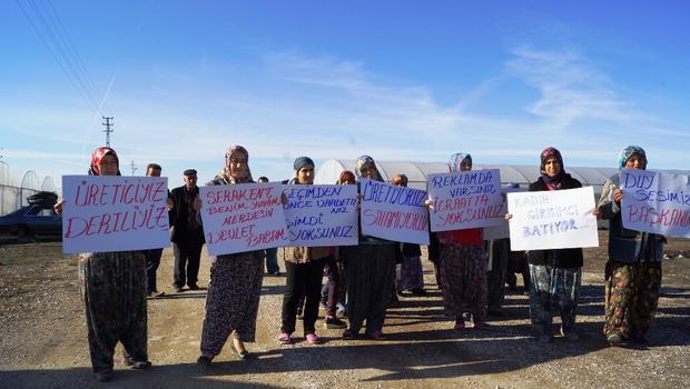 Yerel üretici yerel destek bekliyor