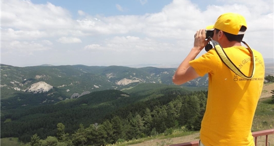 Çubuk Orman İşletme Şefliğinin çalışmaları