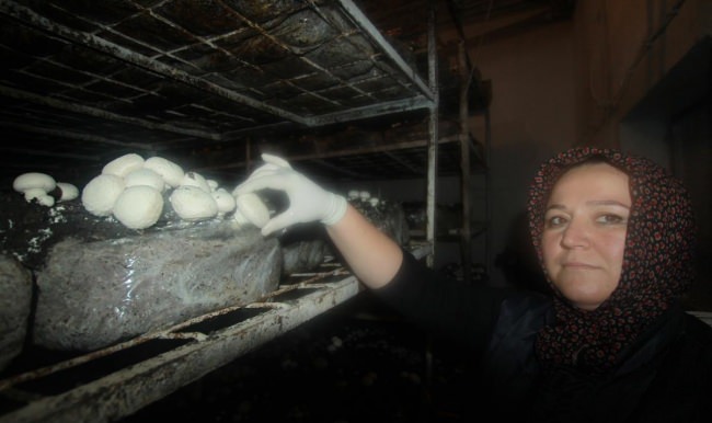 İşçi Olarak Çalışırken, Kendi İşinin Patronu Oldu