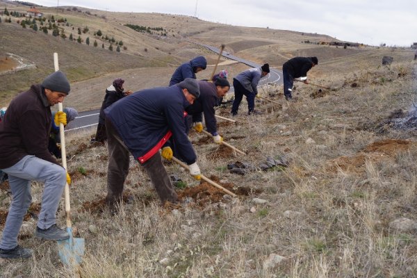 Park ve Bahçeler Müdürlüğü Kent Ormanı Oluşturuyor