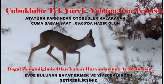 Çubuklular Tek Yürek, Yabana Can Verecek