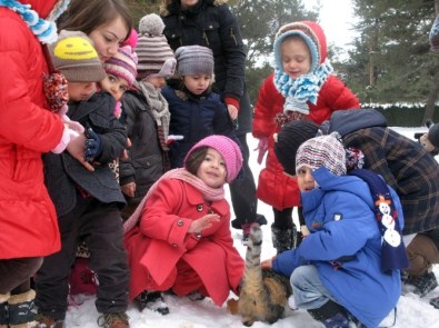 Çubuklular TEK Yürek Oldu, Yabana Can Verdi